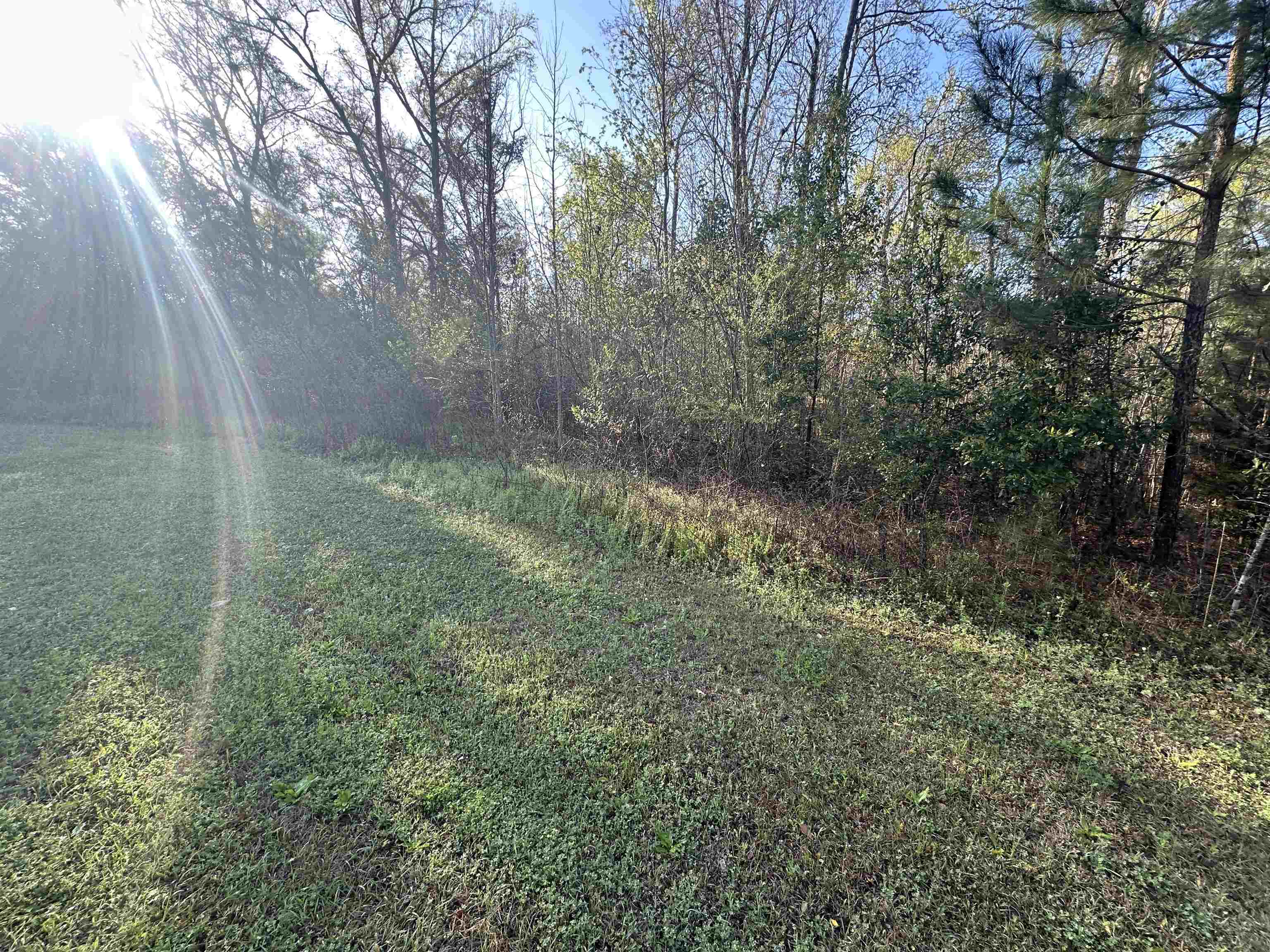 Xx Crayfish Road Chattahoochee, FL 32324 - Photo 4 of 7