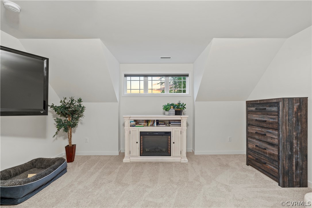 2829 Preston Park Way Sandy Hook, VA 23153 - Photo 19 of 36 a living room with furniture a potted plant and a fireplace