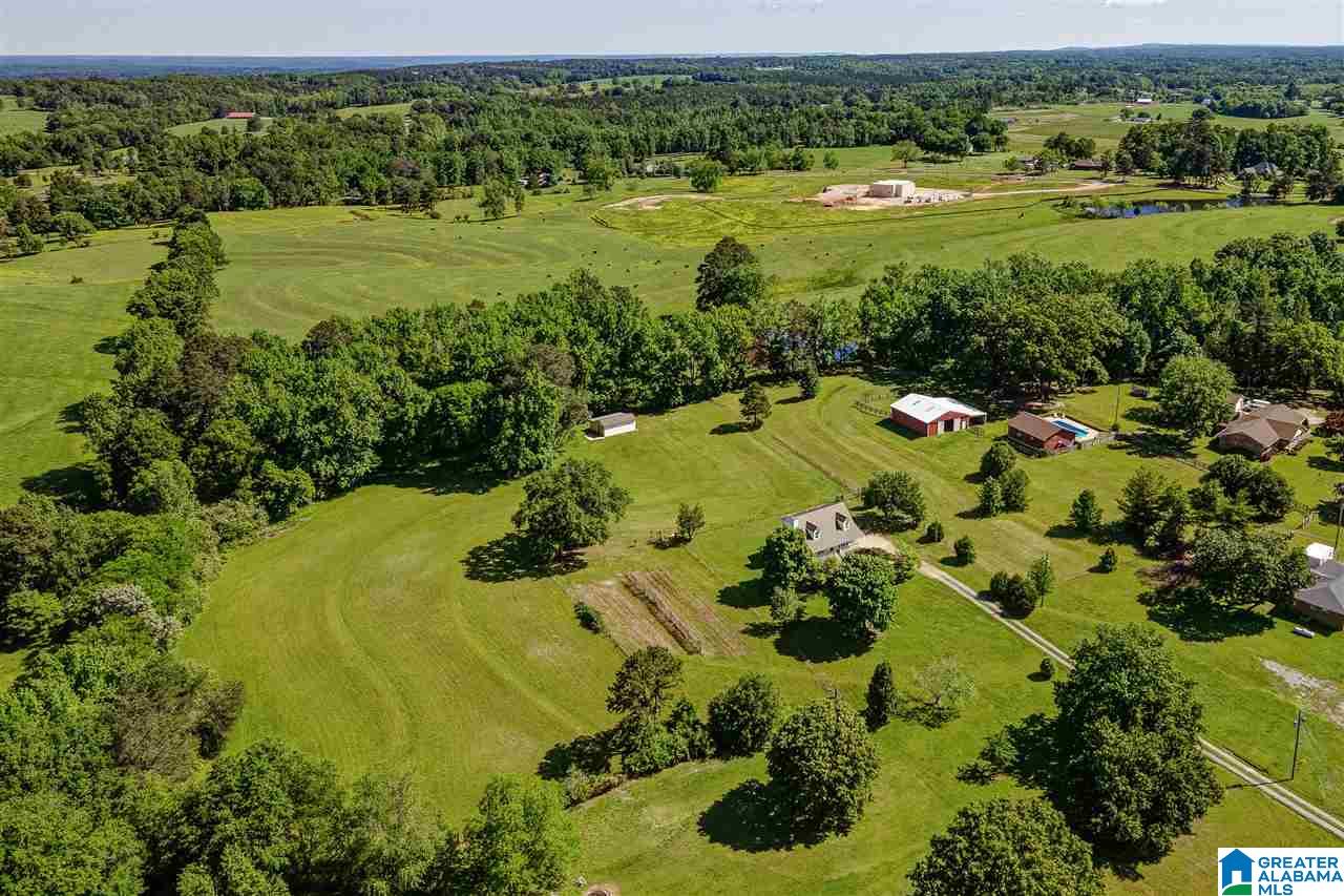 4523 Greathouse Road Dora, AL 35062 - Photo 35 of 50