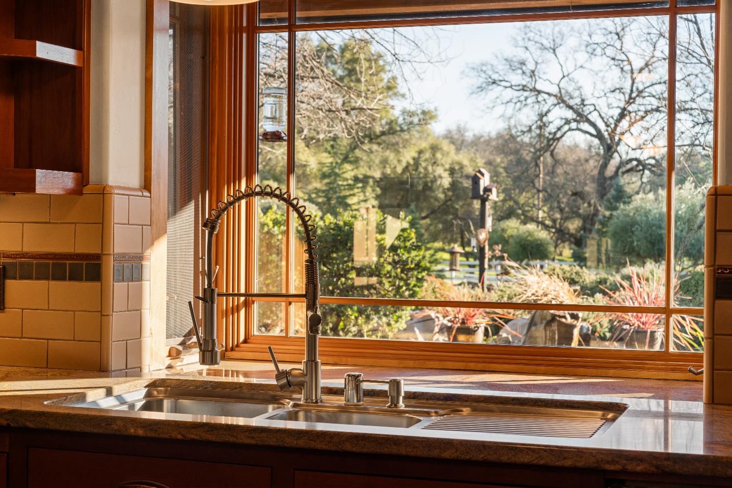 5630 Grazing Hill Road Shingle Springs, CA 95682 - Photo 40 of 86 a view of a potted plant on a street