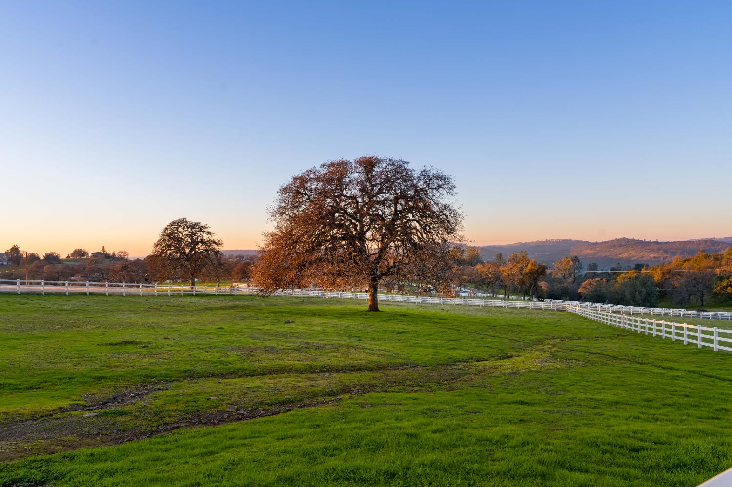 5630 Grazing Hill Road Shingle Springs, CA 95682 - Photo 8 of 86 a big field with lots of trees in the background