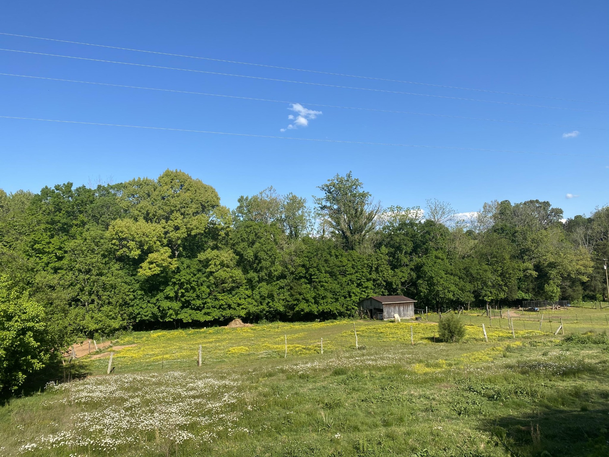 172 Kinser Branch Road Madisonville, TN 37354 - Photo 5 of 13 Gallery Image 5