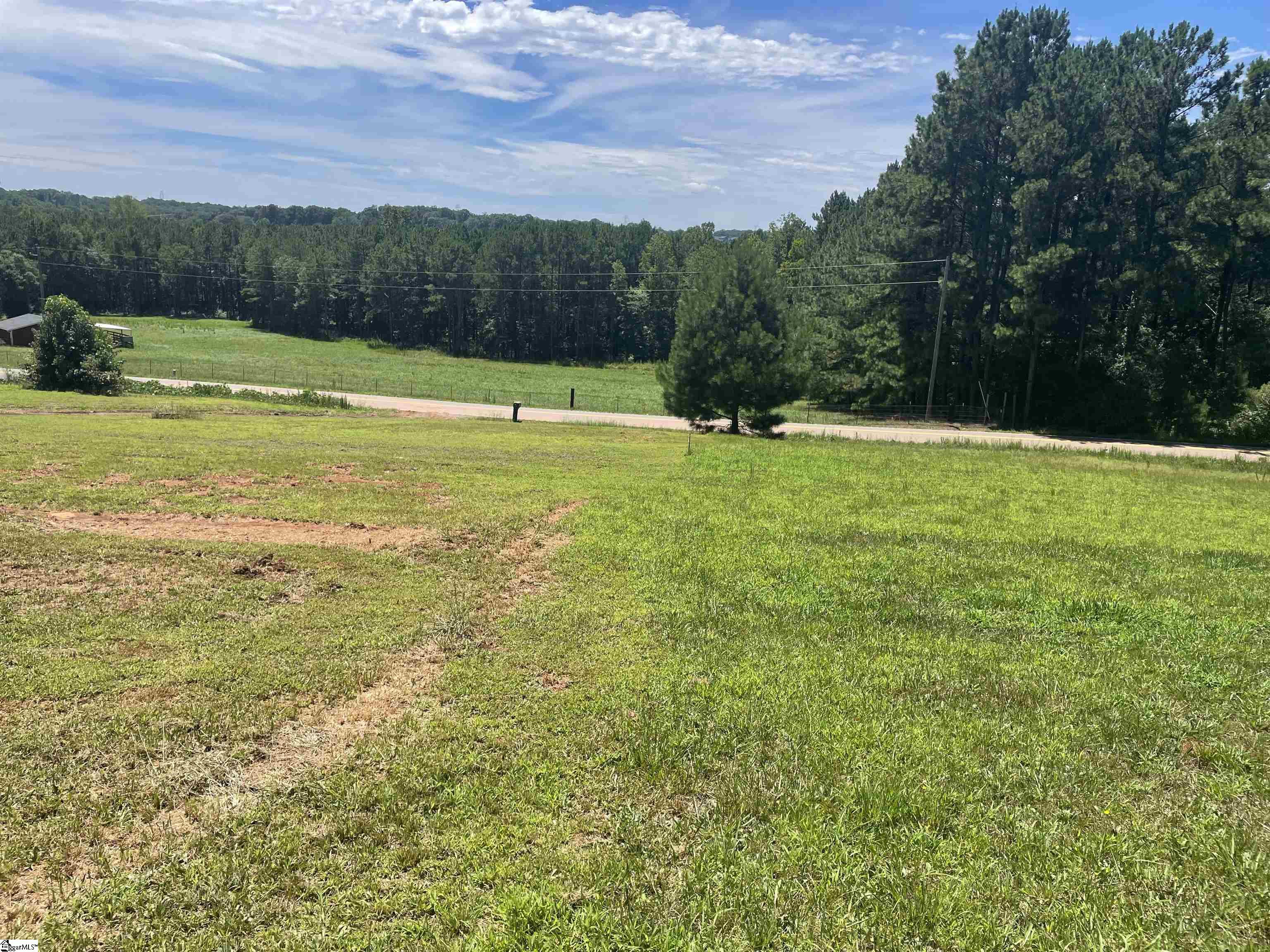 751 Shiloh Church Road Wellford, SC 29385 - Photo 6 of 20 Gallery Image 6