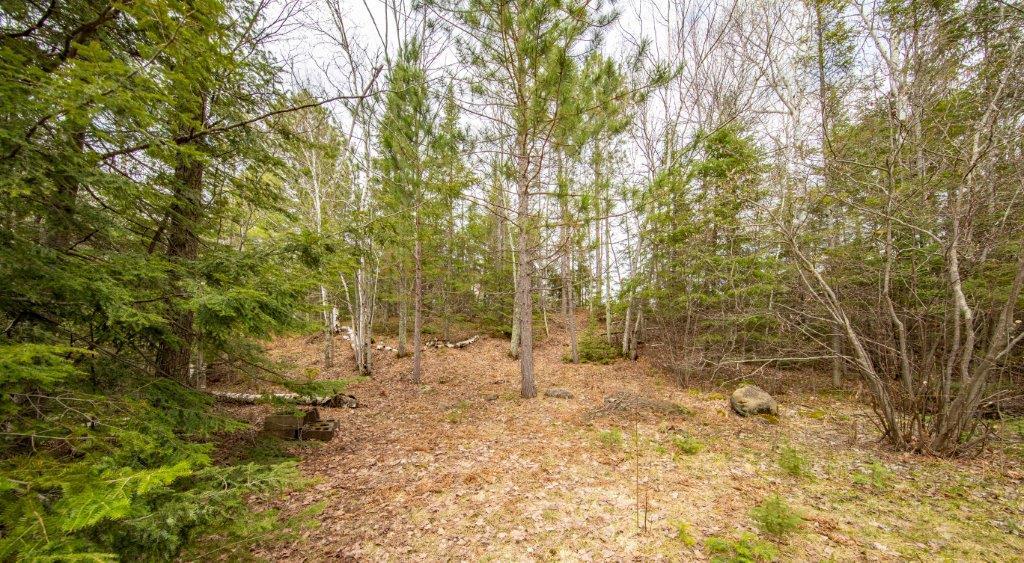 10624 Lynx Lake Road Presque Isle, WI 54557 - Photo 17 of 27 Gallery Image 17