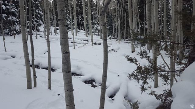 28 Fawn Road Panguitch, UT 84759 - Photo 6 of 10 View of yard layered in snow