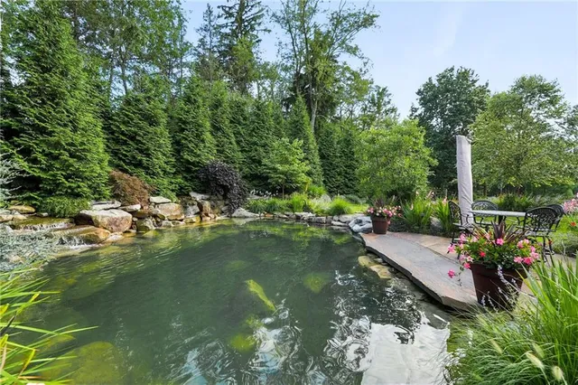 a view of a lake with lawn chairs and large trees