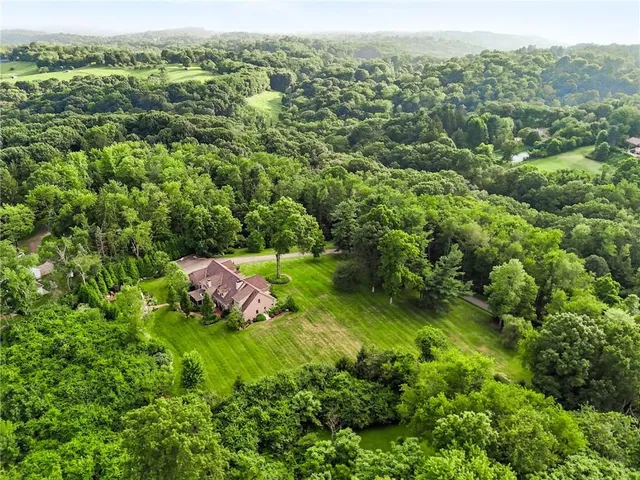 a view of a green field with lots of bushes