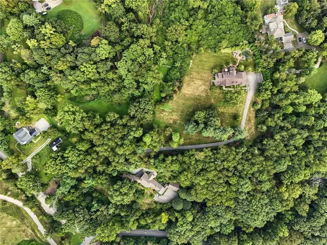 a view of a road with a trees in the background