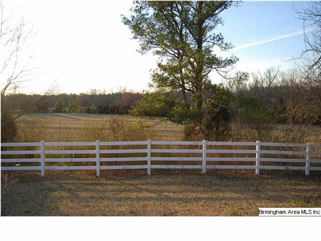591 Old Brdwell Mill Road Jacksonville, AL 36265 - Photo 22 of 32