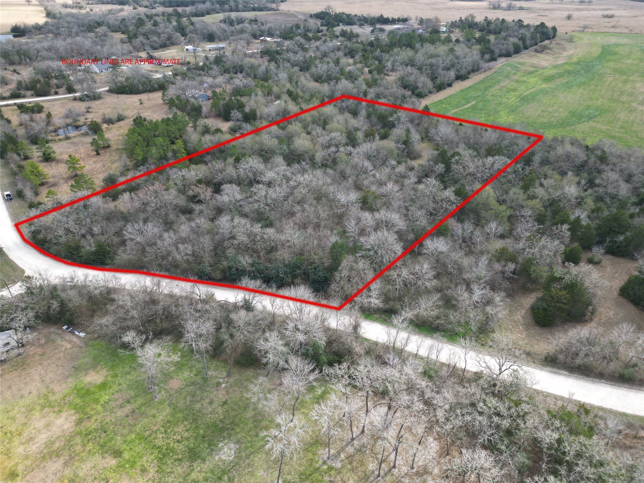 5.003-acres Winding Meadow Road Bedias, TX 77831 - Photo 2 of 23