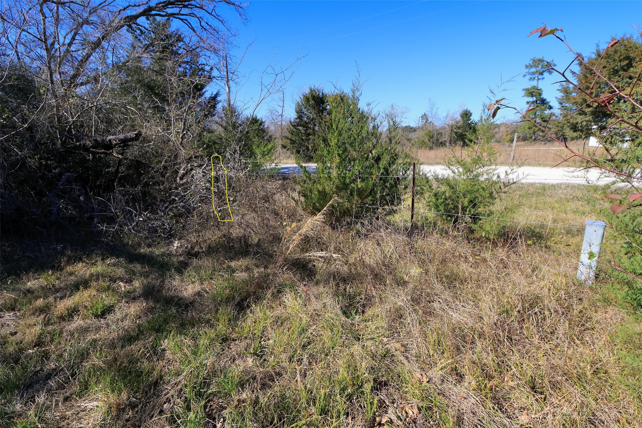 5.003-acres Winding Meadow Road Bedias, TX 77831 - Photo 21 of 23 a view of a yard with a tree
