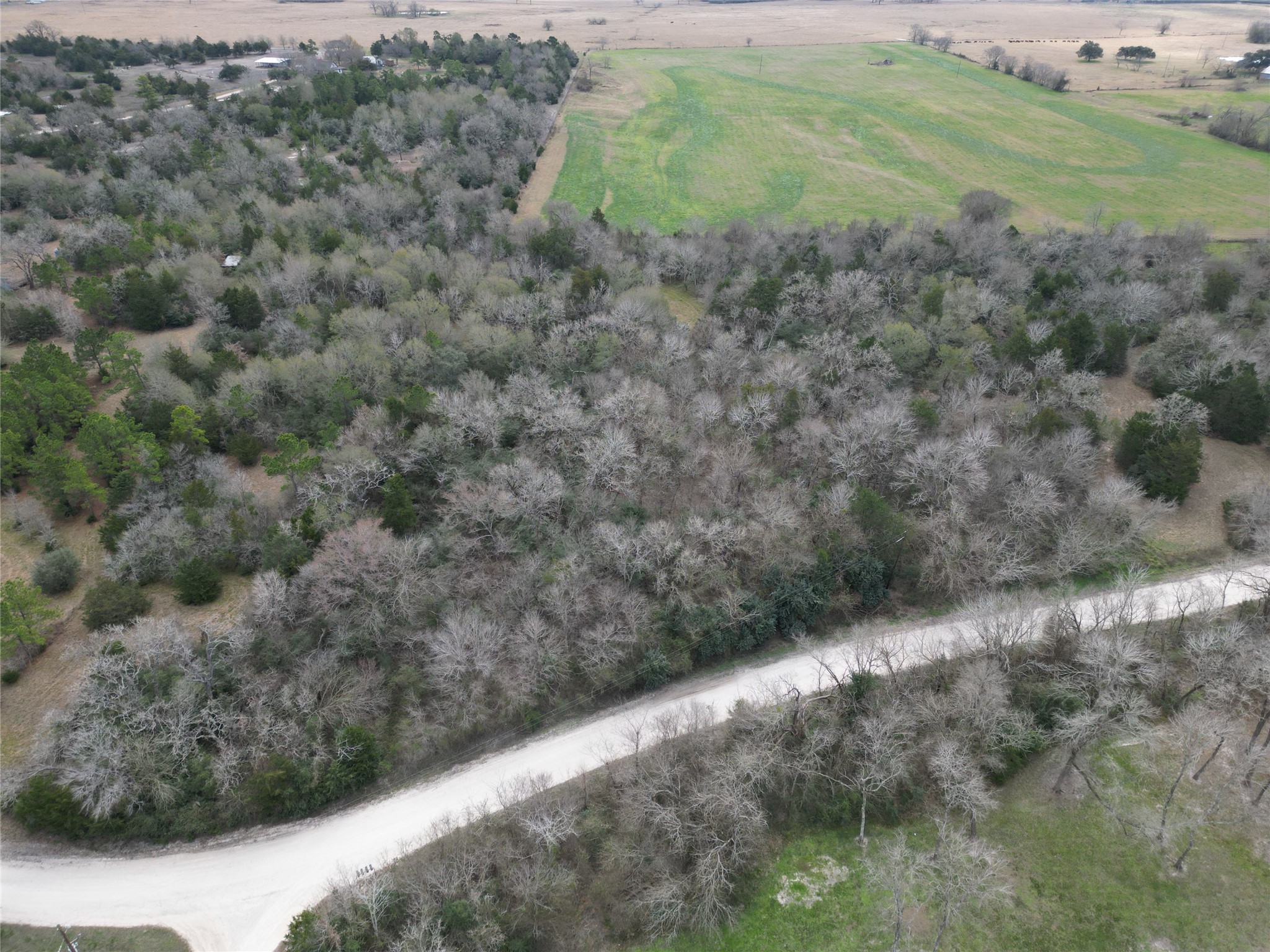 5.003-acres Winding Meadow Road Bedias, TX 77831 - Photo 22 of 23 a view of a field with a tree