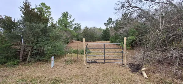 a view of a yard with a tree