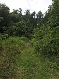 853 Scuffletown Road Corbin, KY 40701 - Photo 1 of 3 Photo 1