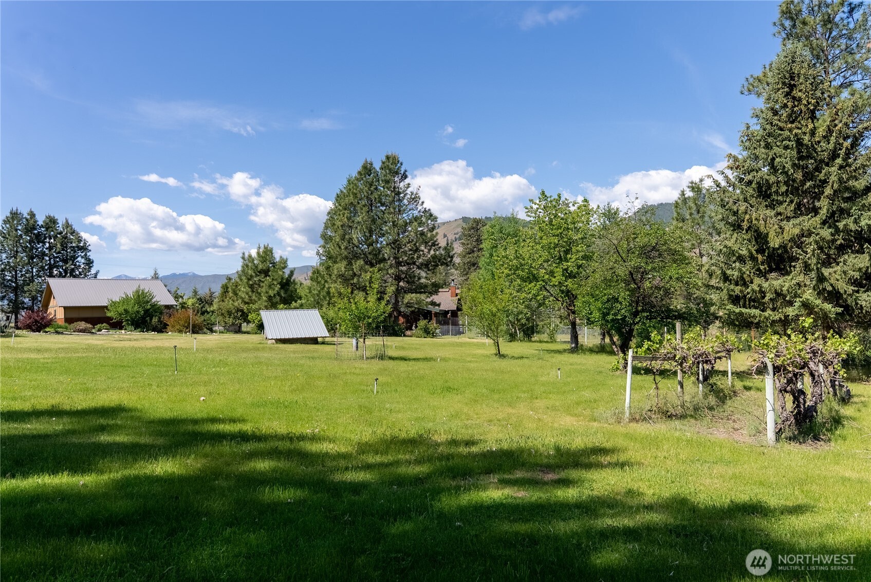 2621 Highway 153 Twisp, WA 98856 - Photo 23 of 40 a view of a big yard with a large tree