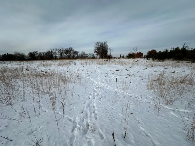 $69,900 | 14672 Blueberry-Bridge Road, Menahga, MN 56464