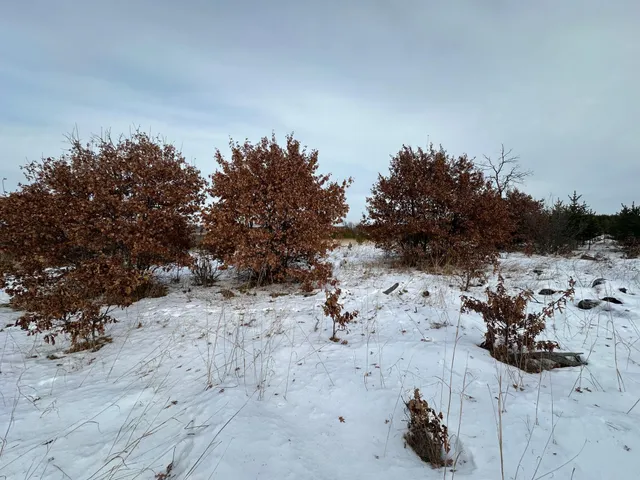 $69,900 | 14672 Blueberry-Bridge Road, Menahga, MN 56464