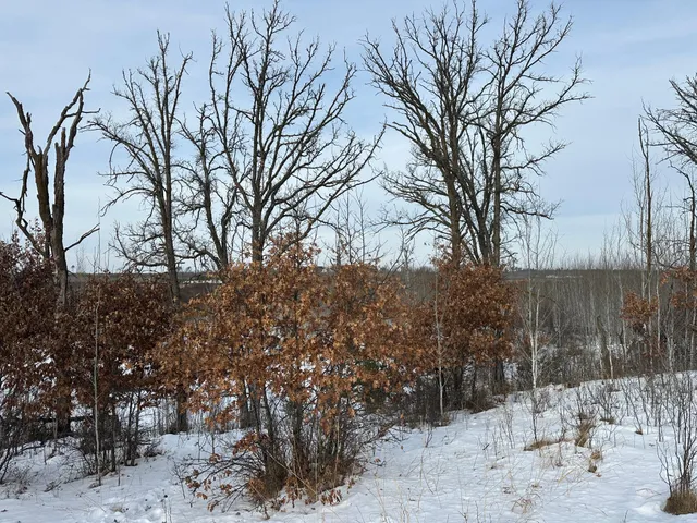 $69,900 | 14672 Blueberry-Bridge Road, Menahga, MN 56464