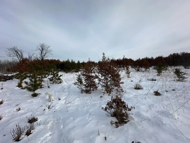 $69,900 | 14672 Blueberry-Bridge Road, Menahga, MN 56464