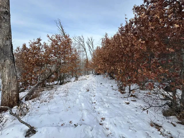 $69,900 | 14672 Blueberry-Bridge Road, Menahga, MN 56464