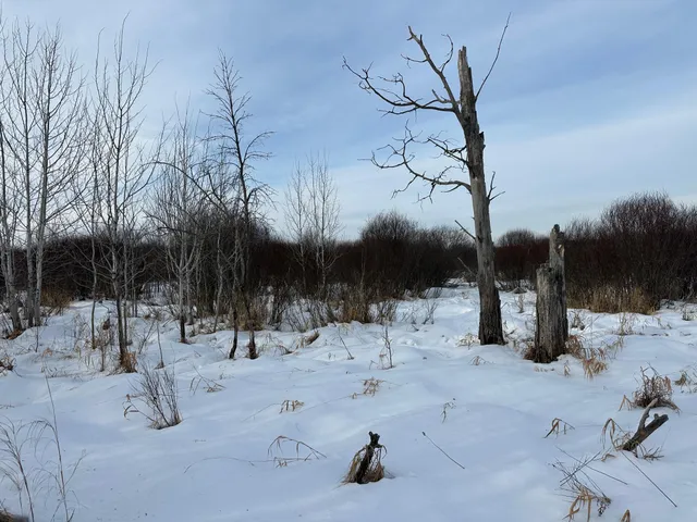 $69,900 | 14672 Blueberry-Bridge Road, Menahga, MN 56464