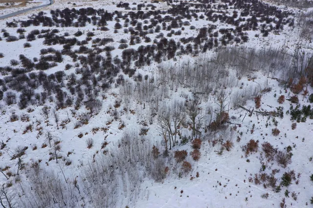 $69,900 | 14672 Blueberry-Bridge Road, Menahga, MN 56464