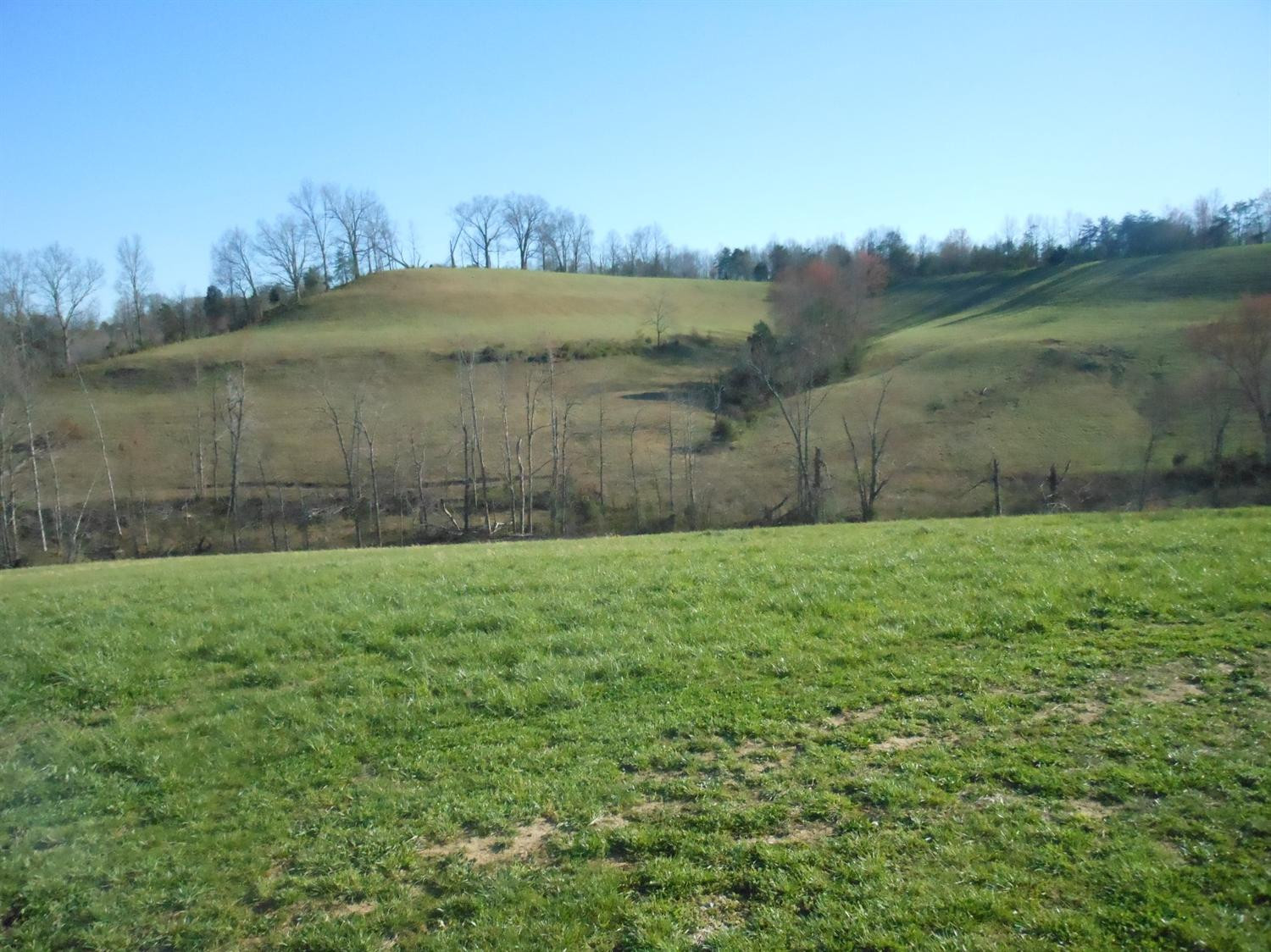 563 Keeton Lake Road Wellington, KY 40387 - Photo 11 of 76 Photo 11
