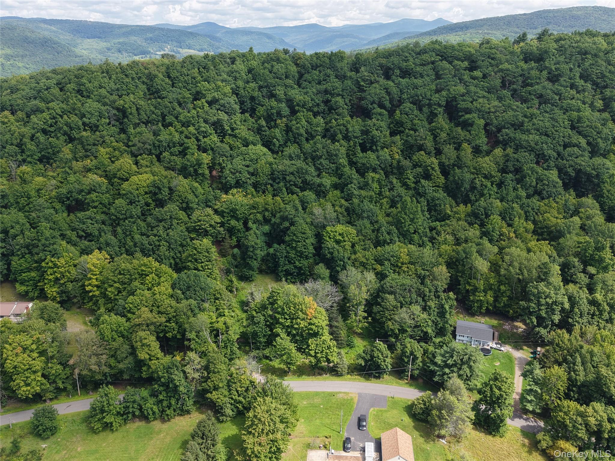 Twinshaven Road Neversink, NY 12765 - Photo 20 of 20 Gallery Image 20