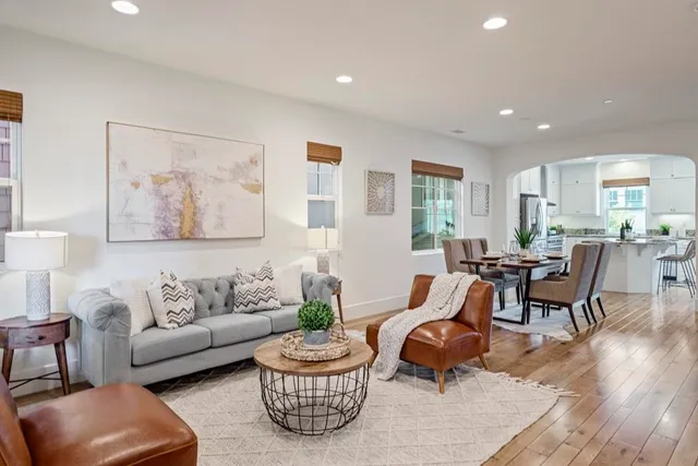 a living room with furniture and a potted plant