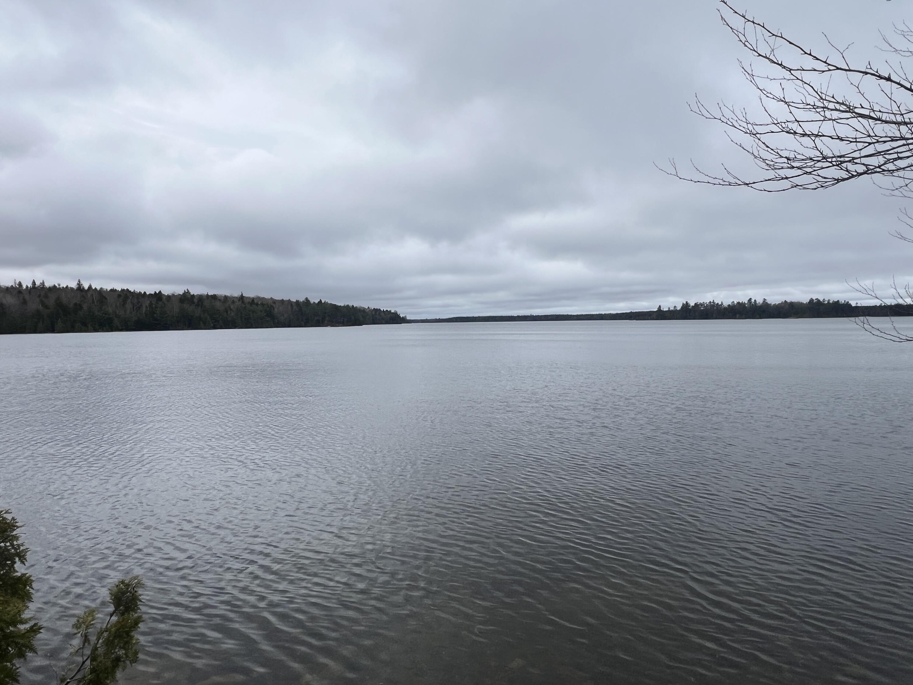 208 Camp Road Cooper, ME 04657 - Photo 4 of 28 IMG_8778