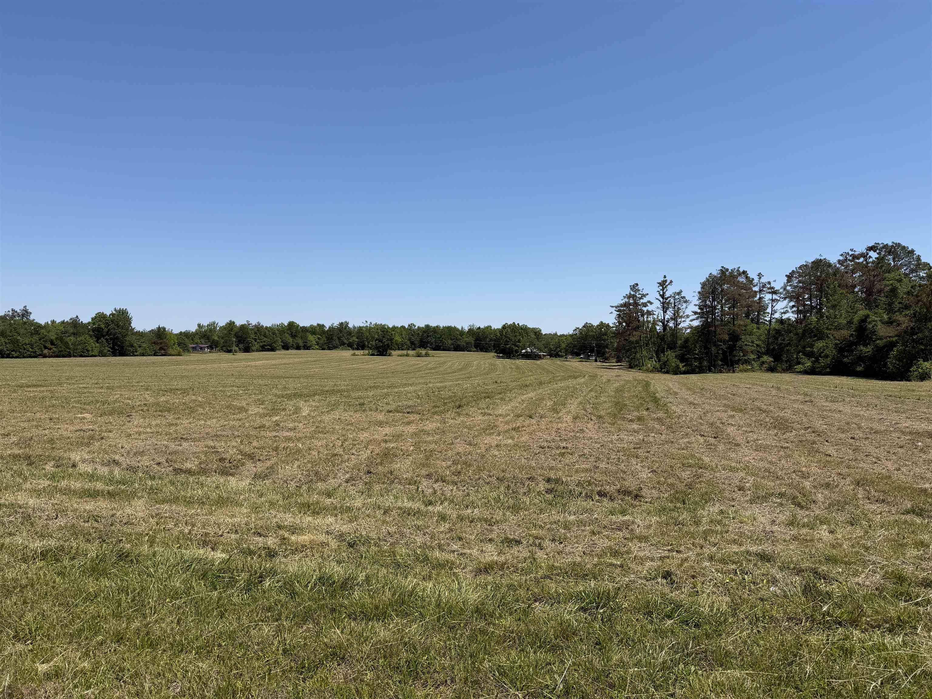 4 69th Highway Adamsville, TN 38310 - Photo 4 of 13