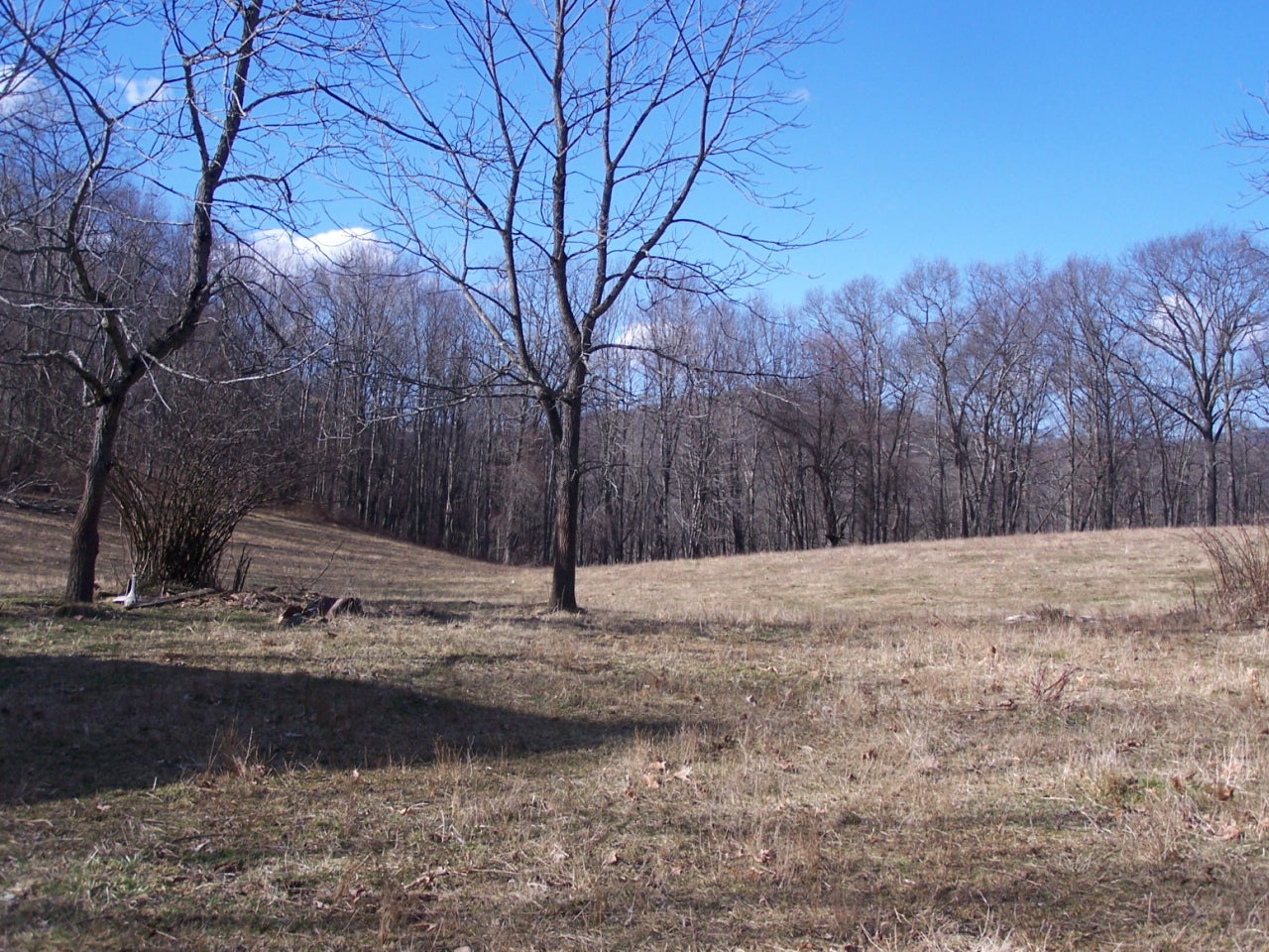 60/8 Hundley Road Crawley, WV 24931 - Photo 7 of 7 More of Land