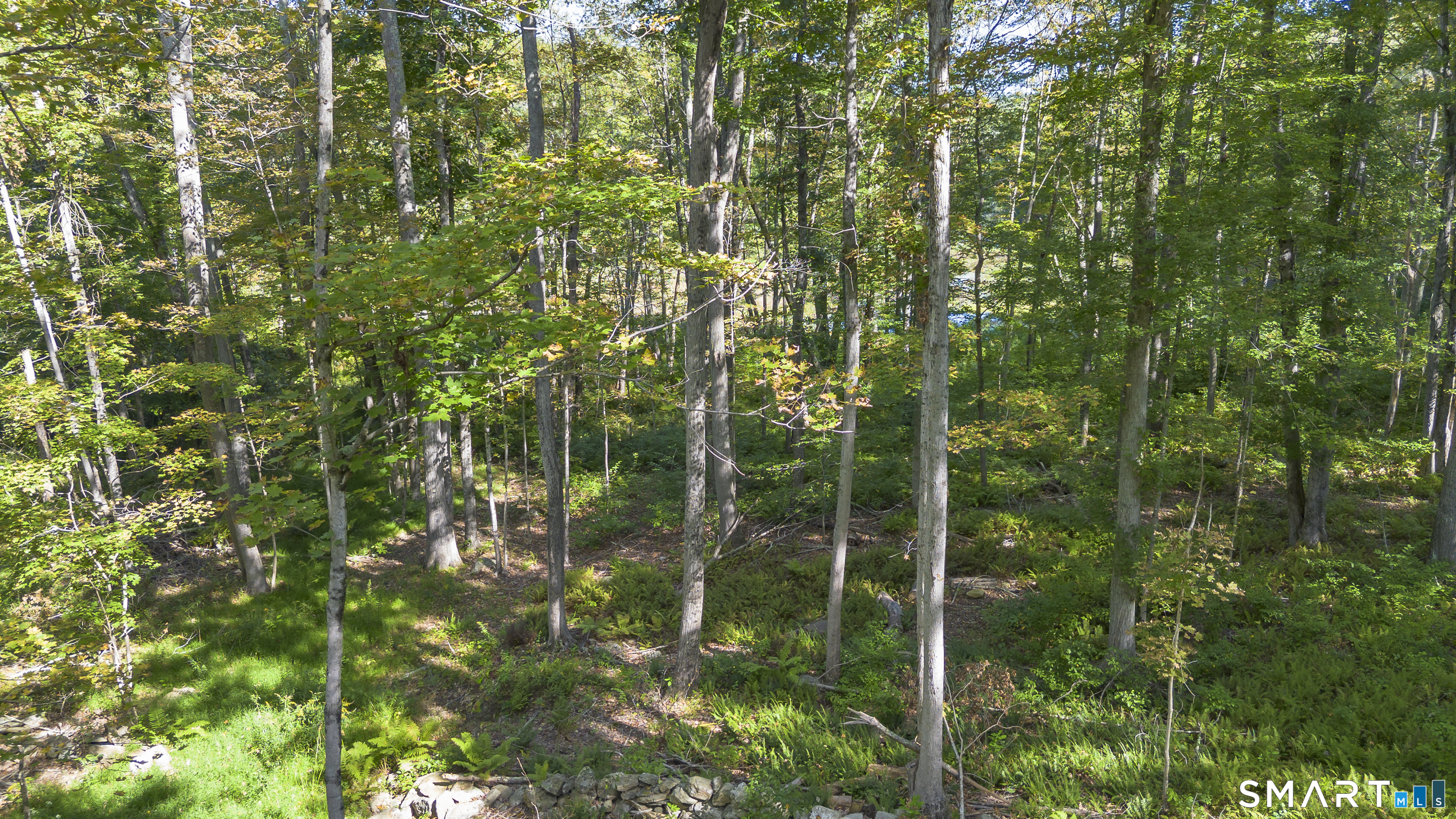853 Scotland Road Norwich, CT 06360 - Photo 16 of 19 Gallery Image 16