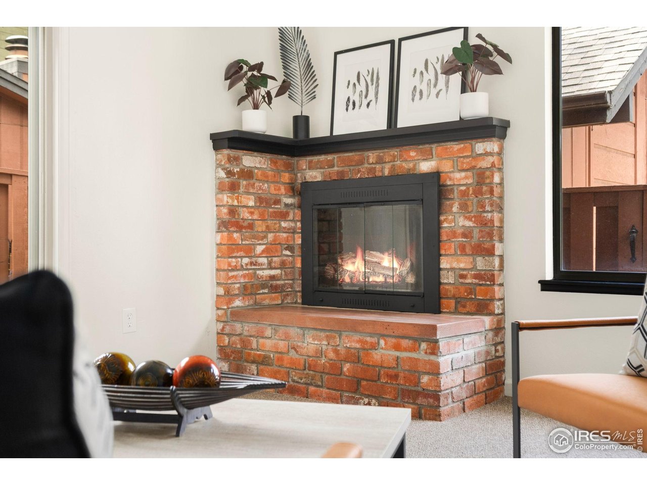 1935 Waters Edge Street, Unit F Fort Collins, CO 80526 - Photo 7 of 23 Wood Fireplace