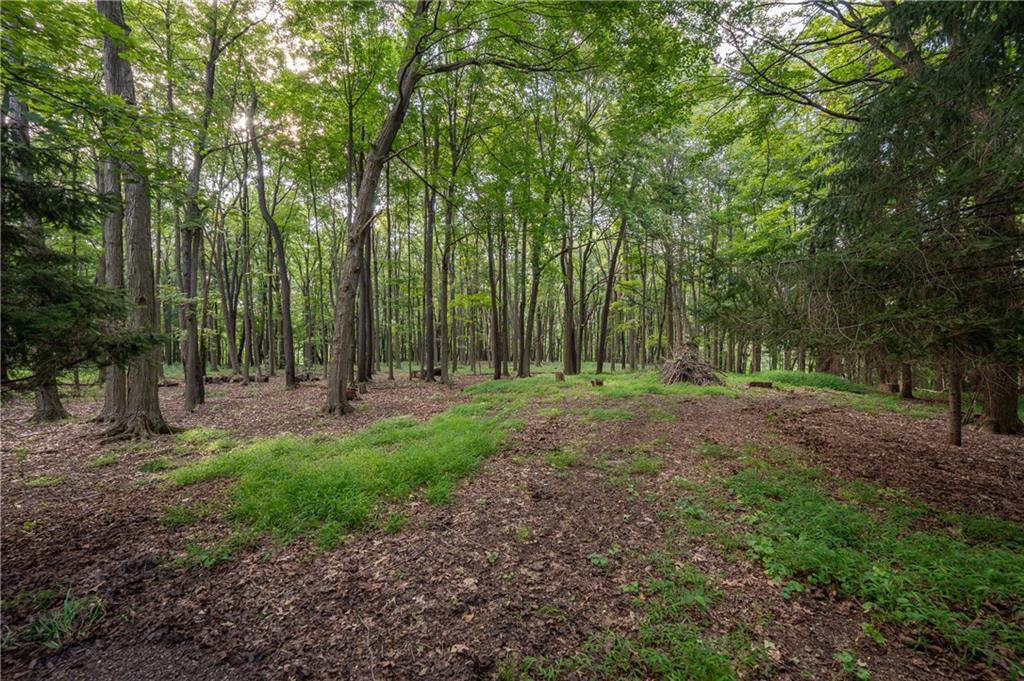 127 Mountain Road Ligonier, PA 15658 - Photo 44 of 45 a view of outdoor space and green space