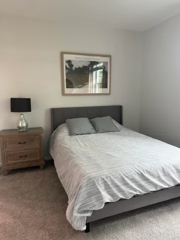 a bedroom with a bed and a tv on the dresser