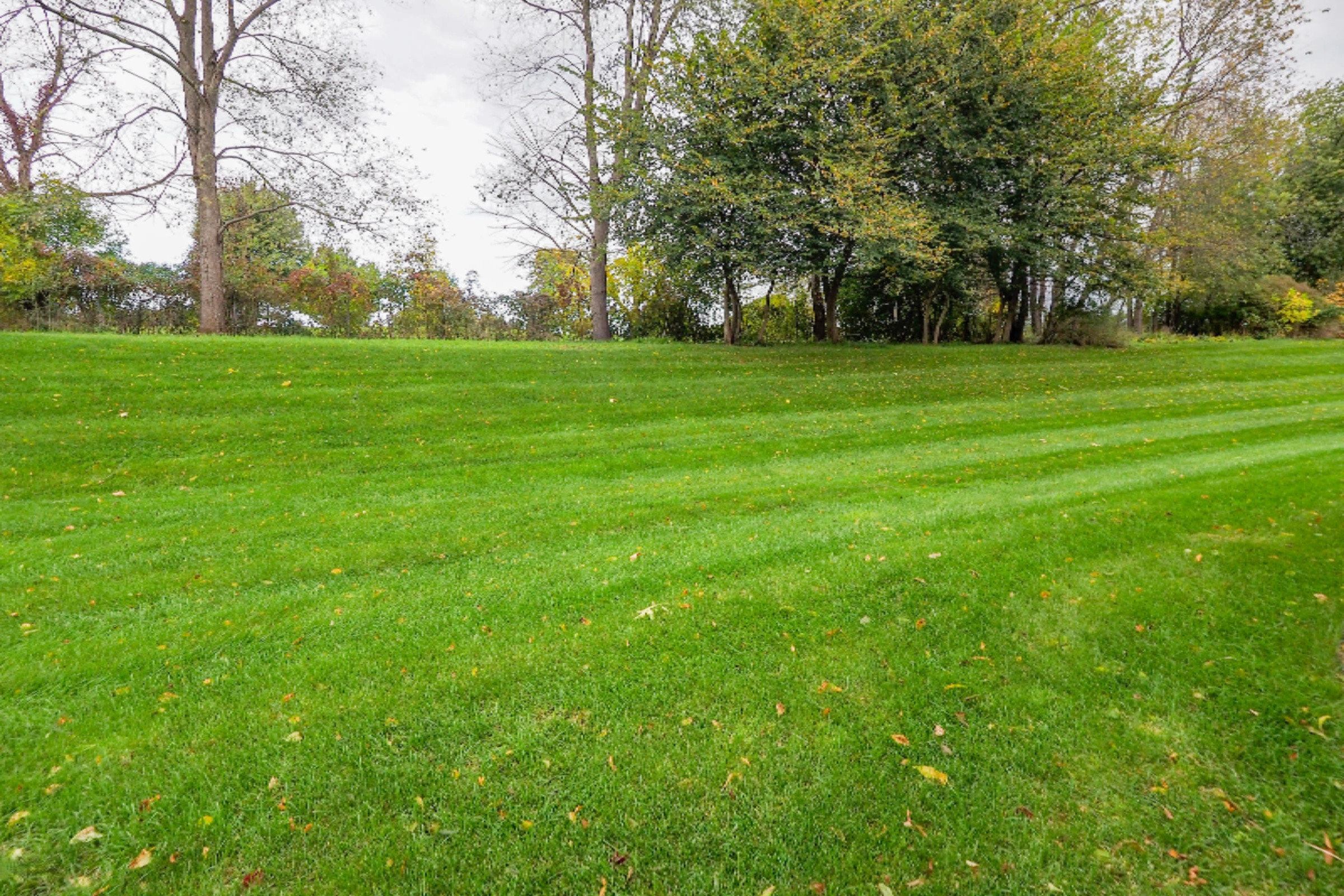 222 Round Hill Road Kalamazoo, MI 49009 - Photo 22 of 25 222 Round Hill Rd-121