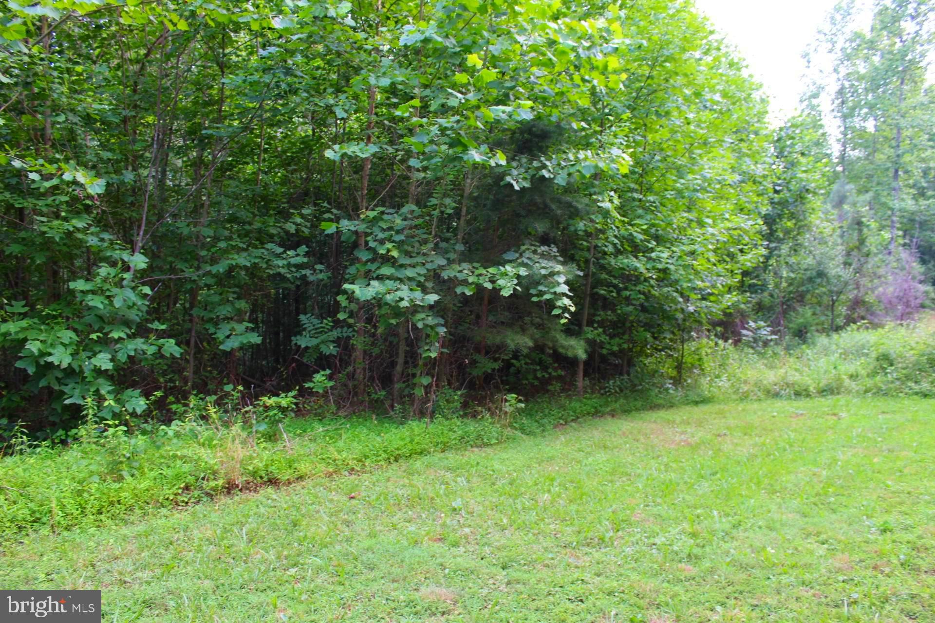 0 Cabin Road Reva, VA 22735 - Photo 1 of 4