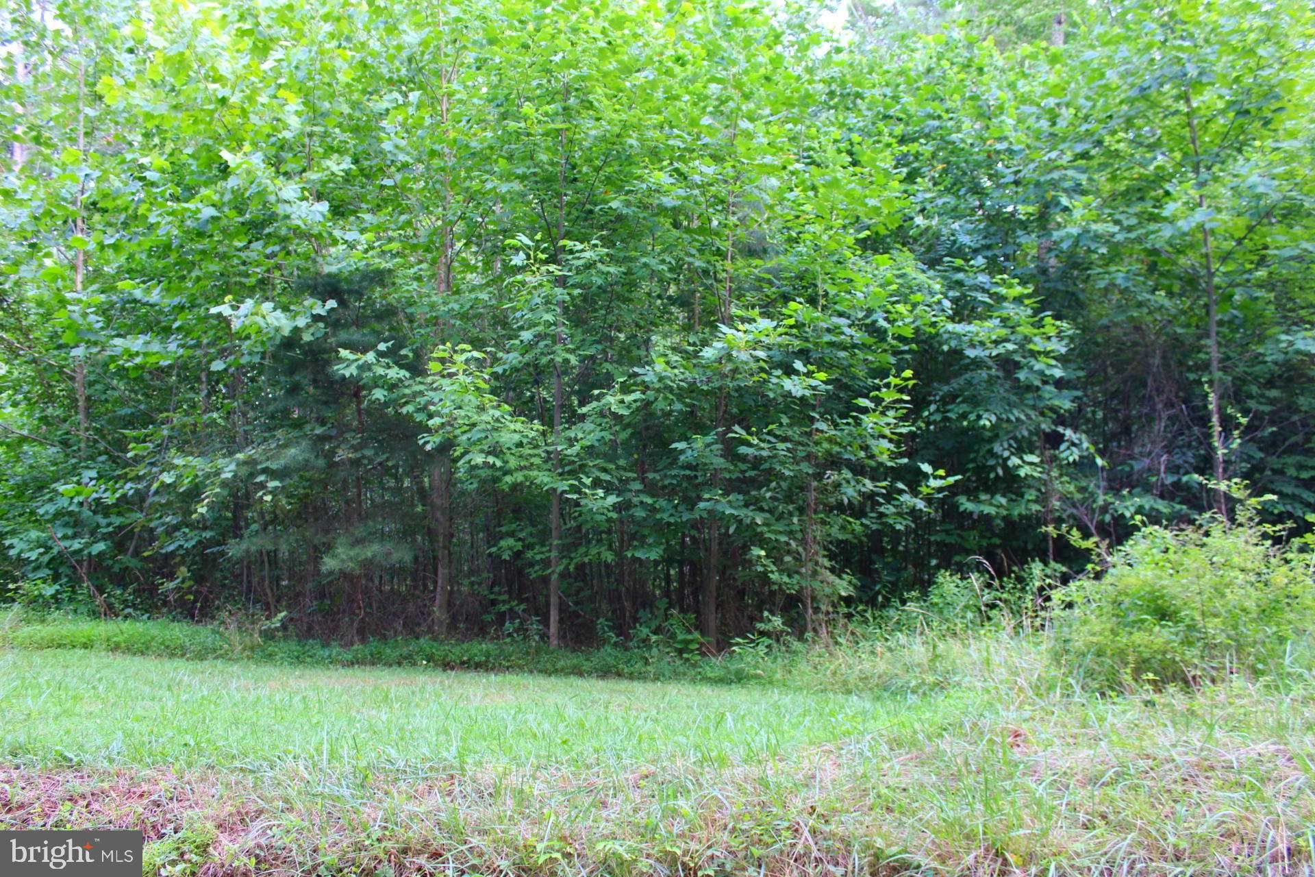0 Cabin Road Reva, VA 22735 - Photo 2 of 4