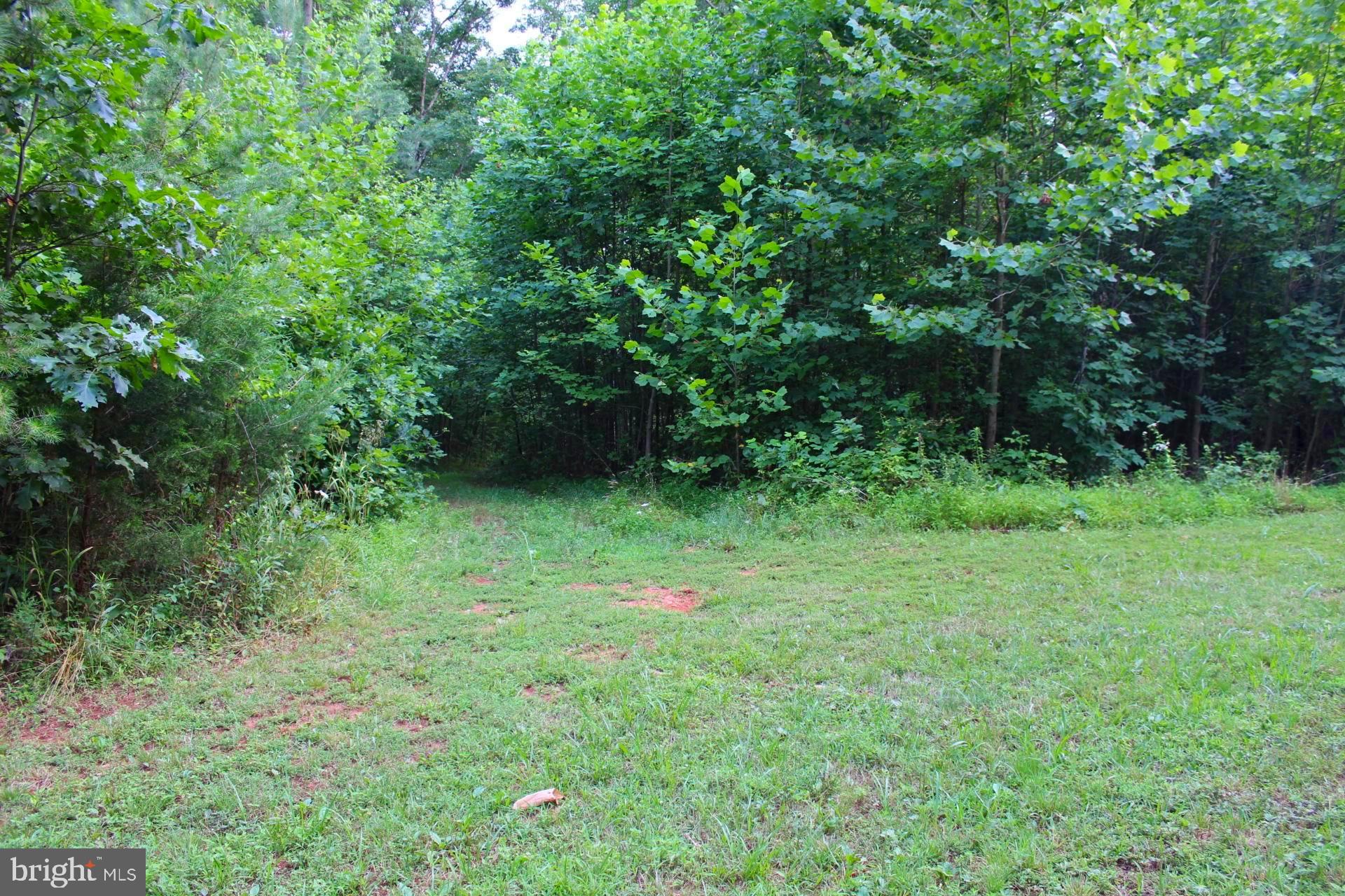 0 Cabin Road Reva, VA 22735 - Photo 3 of 4