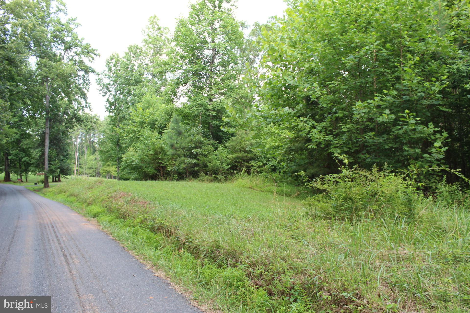0 Cabin Road Reva, VA 22735 - Photo 4 of 4