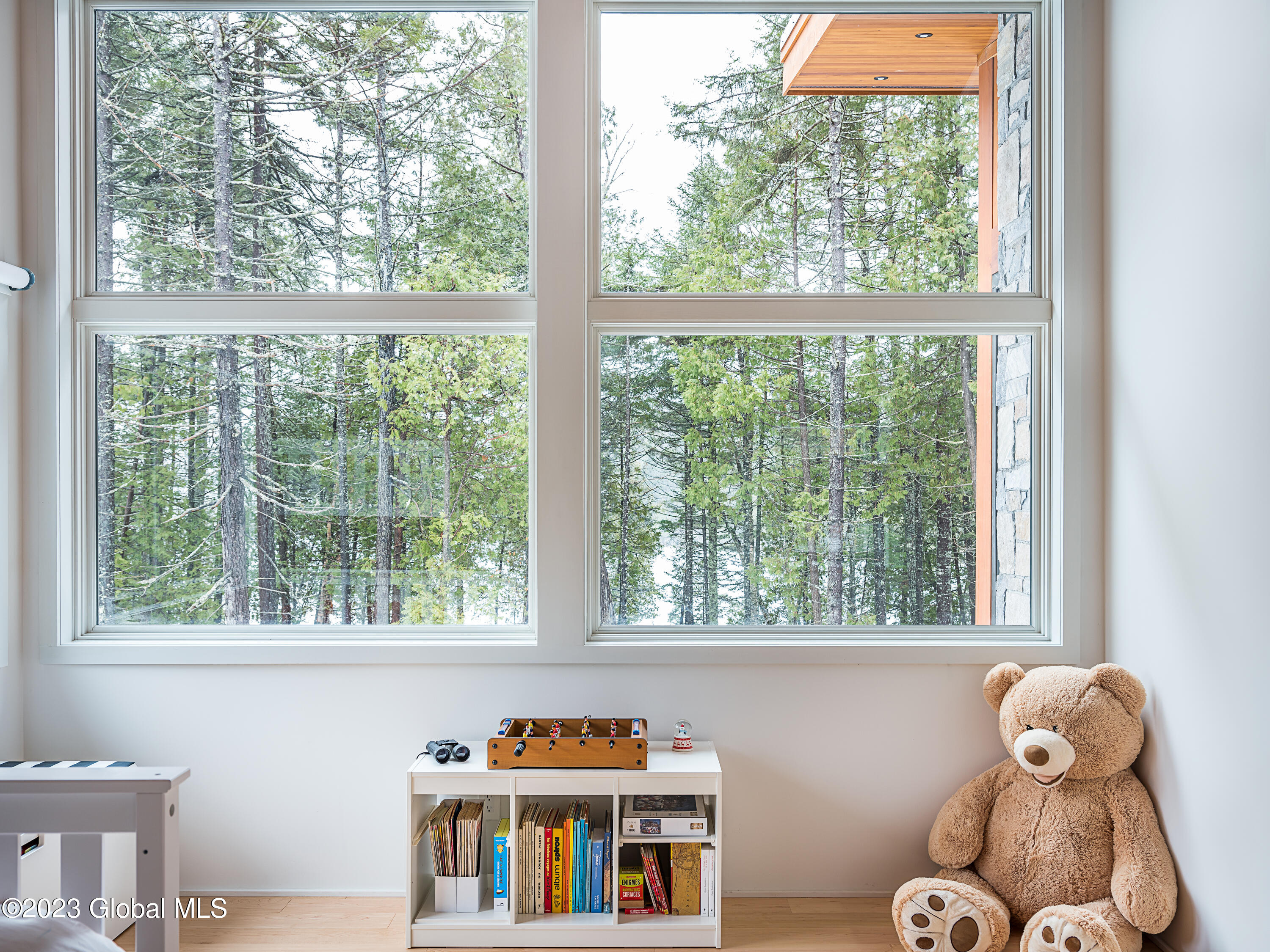 12 Riley Farm Lane Saratoga Springs, NY 12866 - Photo 6 of 25 Lake Placid Retreat