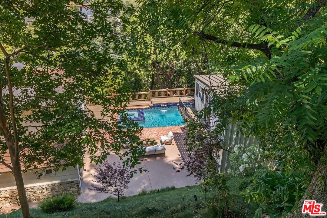 a view of a yard with plants and a large tree