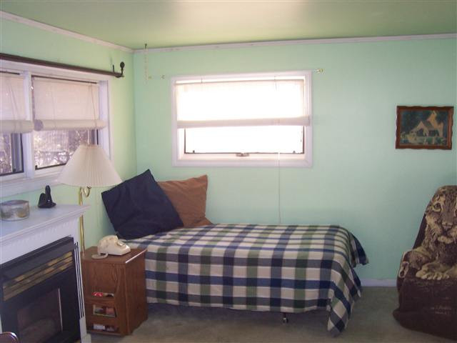 415 Northern Pines Road Gansevoort, NY 12831 - Photo 10 of 12 Photo 10