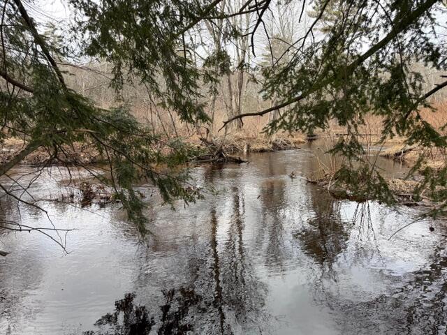 Tbd Kennebunk Road Alfred, ME 04002 - Photo 10 of 16 IMG_1516