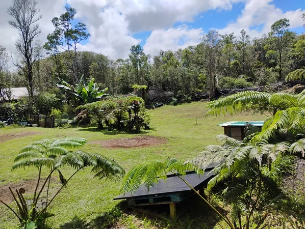 a view of a garden with an outdoor space