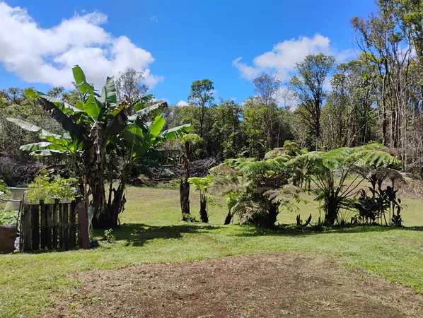 a view of a garden