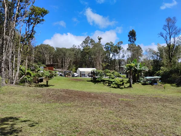 a view of a park with large trees