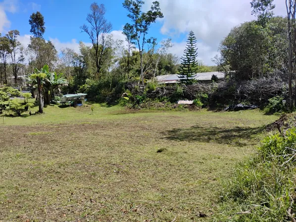 a view of a garden with a slide