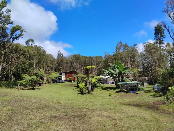 a view of a yard with plants